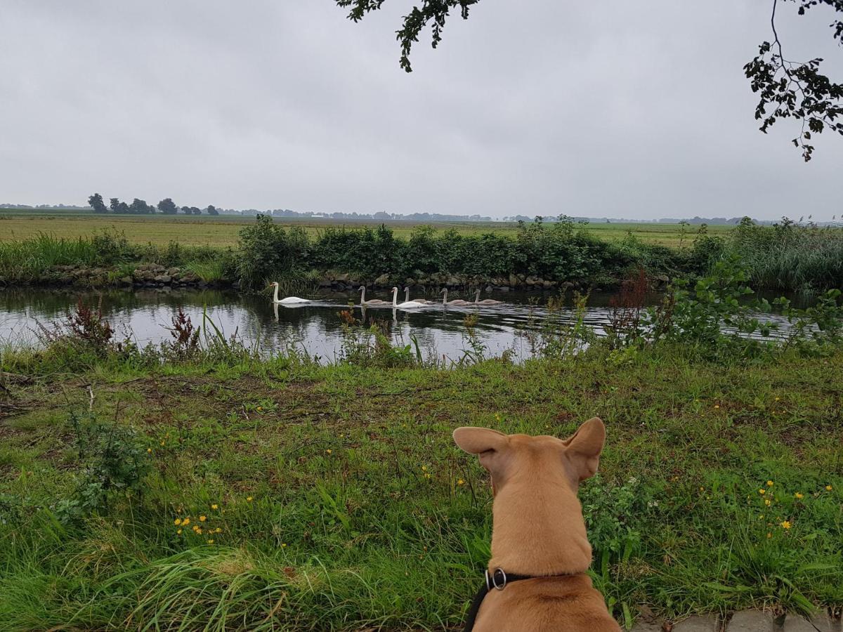 Drenths Landgoed, Welkom Thuis Annerveenschekanaal المظهر الخارجي الصورة